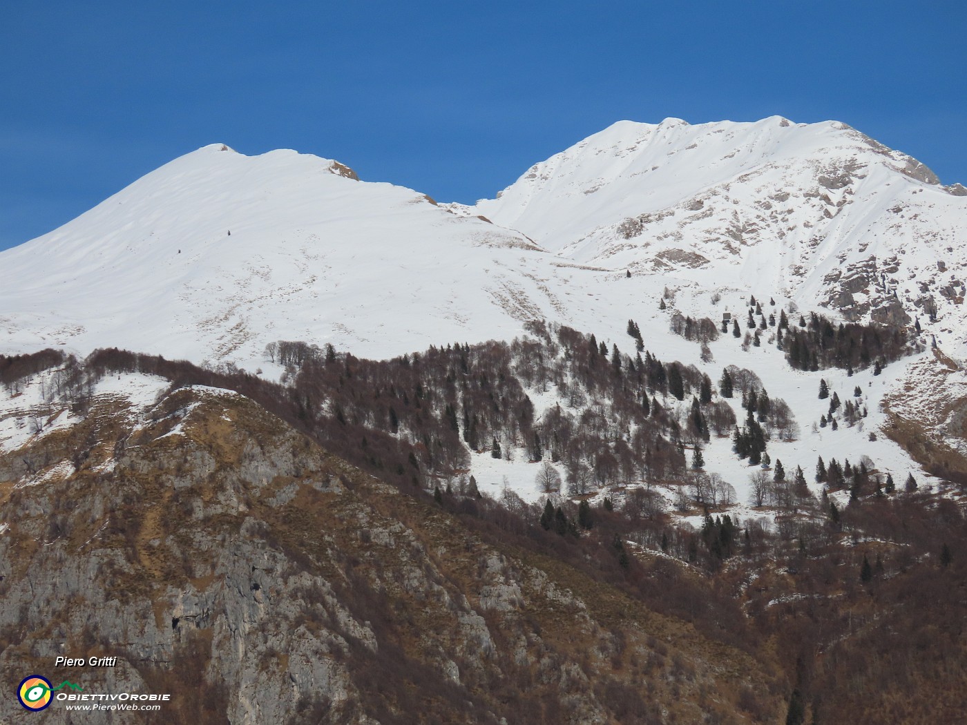 46 I grandi faggi alla base dell'Arale di Cima Menna.JPG